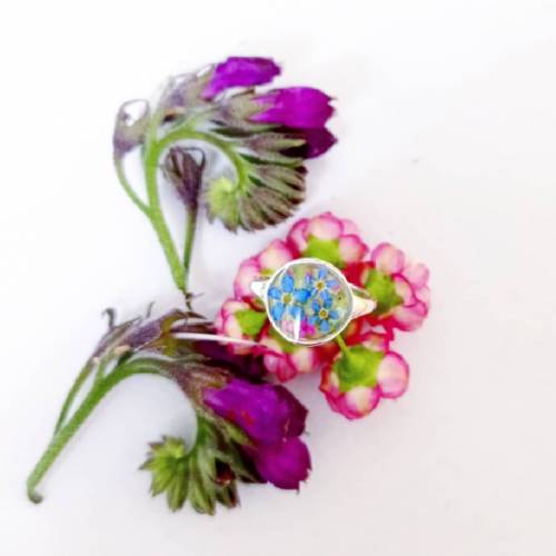 Ring echte Blumen Vergissmmeinnicht großenverstellbar