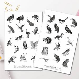 Vintage Vögel Sticker Set | Aufkleber Tiere | Journal Sticker | Sticker Natur | Planer Sticker | Sticker schwarz weiß bu Bild 1