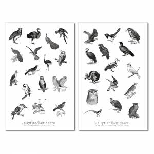 Vintage Vögel Sticker Set | Aufkleber Tiere | Journal Sticker | Sticker Natur | Planer Sticker | Sticker schwarz weiß bu Bild 2