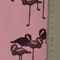 rosa Jersey mit Flamingo Flamingos 50 x 150 cm Nähen Stoff Bild 2