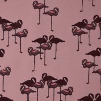 rosa Jersey mit Flamingo Flamingos 50 x 150 cm Nähen Stoff Bild 4