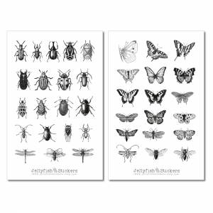 Vintage Insekten Sticker Set | Aufkleber schwarz-weiß | Journal Sticker | Sticker Schmetterling | Sticker Natur Sticker Bild 2