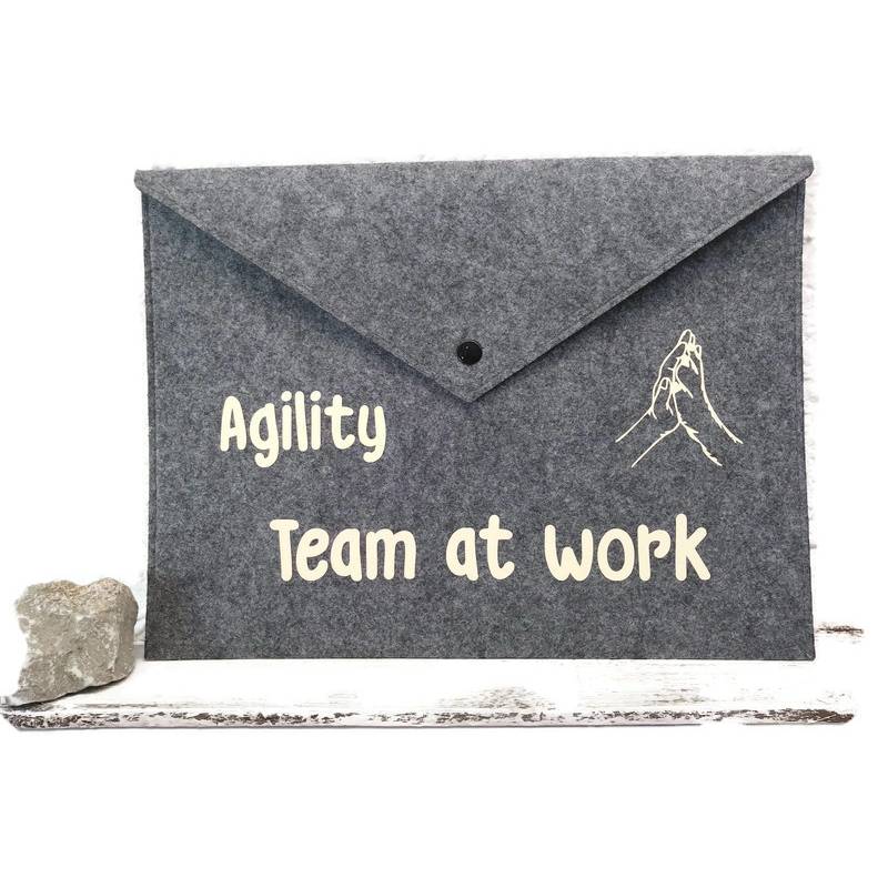 Agility-Dokumenten-Tasche / Leistungskartentasche (t06) Bild 1