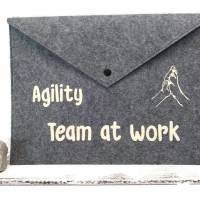 Agility-Dokumenten-Tasche / Leistungskartentasche (t06) Bild 1