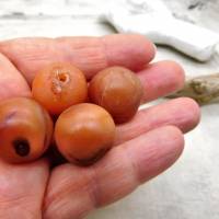 4 große runde Karneol Perlen aus Afrika - 20mm - Idar-Oberstein gebänderter Achat - seiden matt Bild 3
