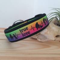 Hundehalsband Gr. 25-65 cm verstellbar gepolstert breit Muster ``true love`` + Leine optional Bild 7