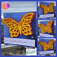 3D Schmetterling Bild 2