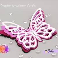 3D Schmetterling Bild 6