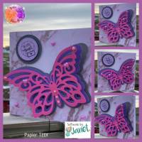3D Schmetterling Bild 7