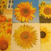6 Servietten / Motivservietten  / Sonnenblumen / Blumen Motive Mix 6 Bild 1