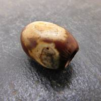 neolithische Stein-Perle aus der Sahara mit authentischen Bearbeitungsspuren- 26mm - von Hand gebohrt - Sahara Stein - 1 Bild 7