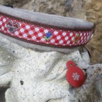 Hundehalsband BAYRISCH gepolstert Bild 1