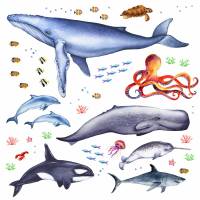 166 Wandtattoo Tiere der Meere - Blauwal, Hai, Delfin, Orca - in 6 Größen - schöne Kinderzimmer Sticker Bild 1