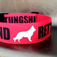 Halsband Hund Hundehalsband 25 mm, 30 mm , 40 mm breit ``Rettungshund`` ohne Polster Gr. S-XL  (+Leine) Bild 2