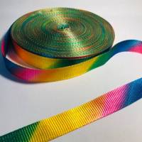 Ripsband Gurtband 20mm Regenbogenfarben Bild 1