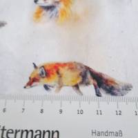 Jersey Baumwolljersey wilder Fuchs "Udo" grauweiß Oeko-Tex Standard 100(1m/15,-€) Bild 4