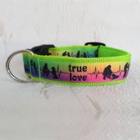 Halsband Hundehalsband True Love Neon Rainbow | Neopren gepolstert | 25-40mm breit | S-XL | passende Leine erhältlich Bild 1