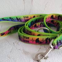 Halsband Hundehalsband True Love Neon Rainbow | Neopren gepolstert | 25-40mm breit | S-XL | passende Leine erhältlich Bild 4