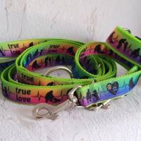 Halsband Hundehalsband True Love Neon Rainbow | Neopren gepolstert | 25-40mm breit | S-XL | passende Leine erhältlich Bild 5