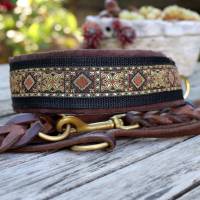 Halsband MEDIVAL mit Zugstopp für deinen Hund, Rhodesian Ridgeback, Hundehalsband, Martingale Bild 1