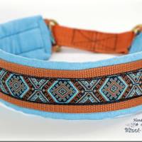 Halsband MEDIVAL mit Zugstopp für deinen Hund, Rhodesian Ridgeback, Hundehalsband, Martingale Bild 5