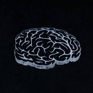 Brain coaster silicone mold 12cm Bild 1