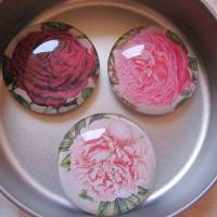 6 Cabochon Magnete groß floral Vintage Stil Blumen Garten "Florale" Geschenkidee für Frauen Gärtner Bild 3