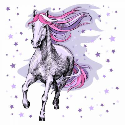 172 Wandtattoo Pferd rosa lila flieder Sterne - in 4 Größen - schöne Kinderzimmer Sticker