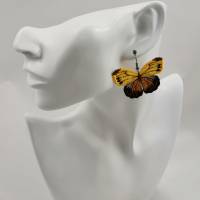 Ohrringe Schmetterlingsflügel Lace Bild 3