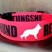 Halsband Hundehalsband Rettungshund | 25-40mm breit | S-XL | passende Leine erhältlich Bild 2