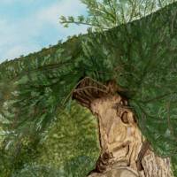 Iberischer Olivenbaum - Original Aquarellmalerei, gerahmtes Unikat Bild 3