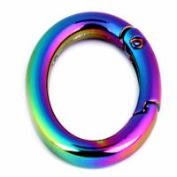 Taschenring oval Regenbogen Bild 1