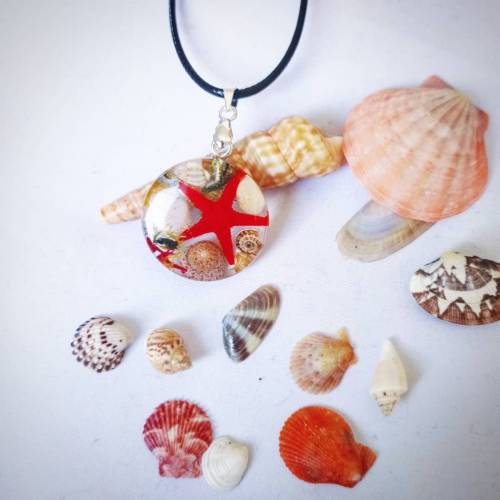 Anhänger Muscheln Seestern bunt Meer