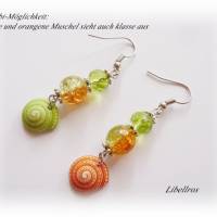 1 Paar Ohrhänger mit Muschel/Schnecke - Ohrringe,Sommer,Urlaub,maritim,modisch,orange,grün Bild 3