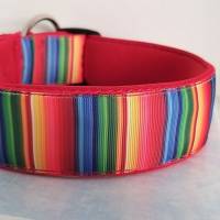 Hund Halsband Hundehalsband 40 mm breit ``Regenbogen`` gepolstert Gr. S-XL  (+Leine optional) Bild 1