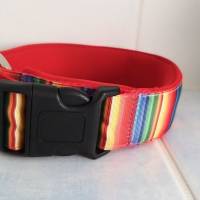 Hund Halsband Hundehalsband 40 mm breit ``Regenbogen`` gepolstert Gr. S-XL  (+Leine optional) Bild 2