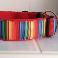Hund Halsband Hundehalsband 40 mm breit ``Regenbogen`` gepolstert Gr. S-XL  (+Leine optional) Bild 3