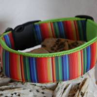 Hund Halsband Hundehalsband 40 mm breit ``Regenbogen`` gepolstert Gr. S-XL  (+Leine optional) Bild 4