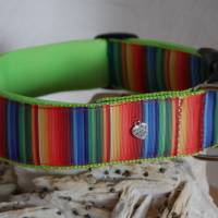 Hund Halsband Hundehalsband 40 mm breit ``Regenbogen`` gepolstert Gr. S-XL  (+Leine optional) Bild 5