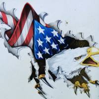 Aufkleber (Sticker) Adlerkopf mit Flagge USA Bild 1