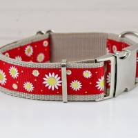 Hundehalsband oder Hundegeschirr mit Margeriten Blumen, rot und beige, Hundehalsband mit Leine Bild 1