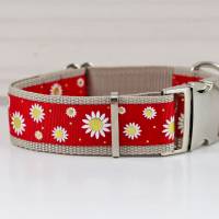 Hundehalsband oder Hundegeschirr mit Margeriten Blumen, rot und beige, Hundehalsband mit Leine Bild 2