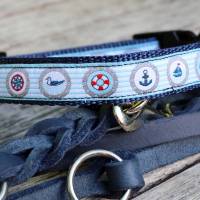 Halsband mit Klickverschluss, Hundehalsband mit verschiedenen Designs, Breiten und Größen Bild 6