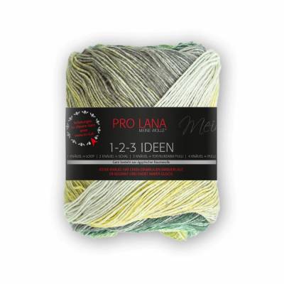 Pro Lana  1-2-3 Ideen 100g Baumwolle 08 grün