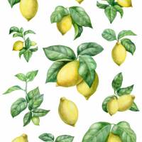 Reispapier - Motiv Strohseide - A4 - Decoupage - Vintage - Shabby - Lemon - Zitrone - 19179 Bild 1