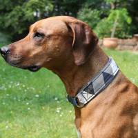 Halsband TRIANGEL mit Zugstopp Hund, Hundehalsband mit tollem Muster, Martingale Bild 3