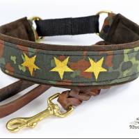 MUSTERVERKAUF Hundehalsband, verschiedene Desings, Zugstopp Halsband für Hunde, Martingale, Rhodesian Ridgeback SALE Bild 1