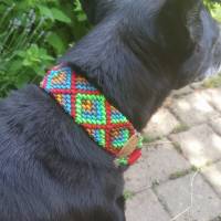Hundehalsband 3,8 cm breit #Gassifriend ...mein Hund mein "BestFriend" Bild 3