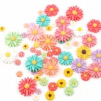 10 -100 Blumen, Blüten,  Harz, Gänseblümchen, Margariten, weiss, bunt Bild 1