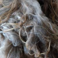 100 Gramm gewaschene Rohwolle vom Spaelsau Schaf, braun. Zum Filzen, Spinnen und Basteln Bild 7